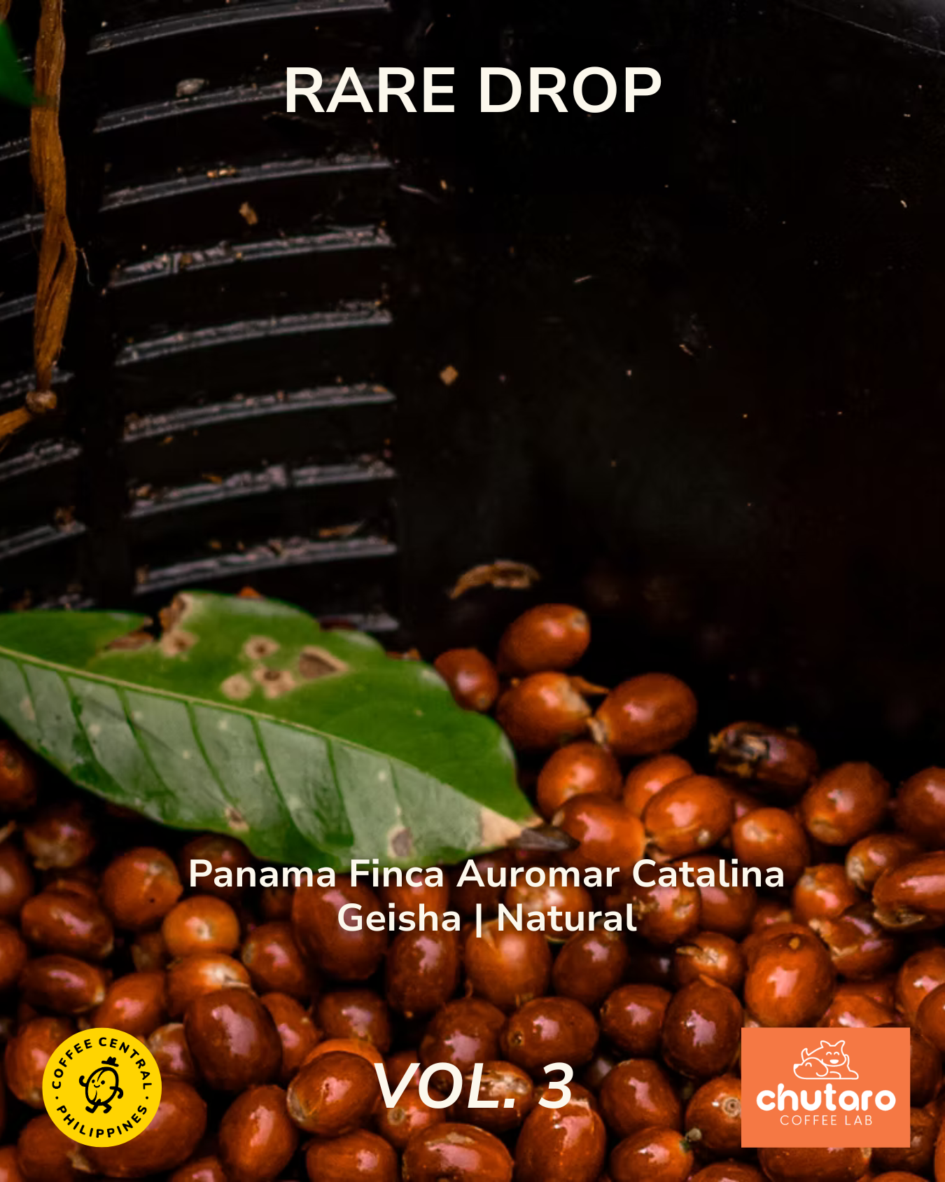 [PRE-ORDER] PANAMA - FINCA AUROMAR - CATALINA GEISHA NATURAL 100g