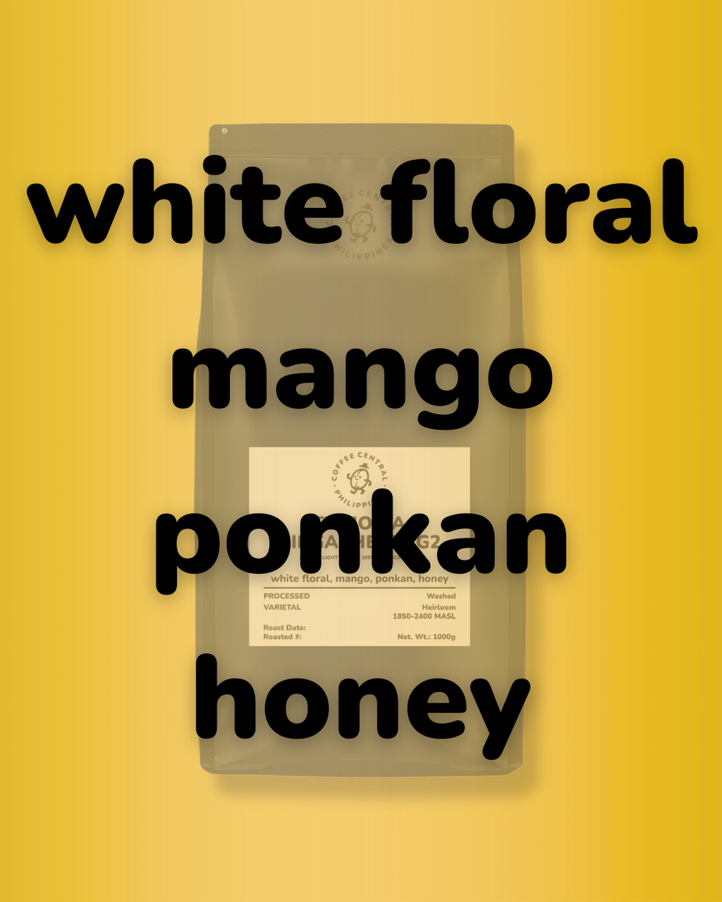 ETHIOPIA - YIRGACHEFFE G2