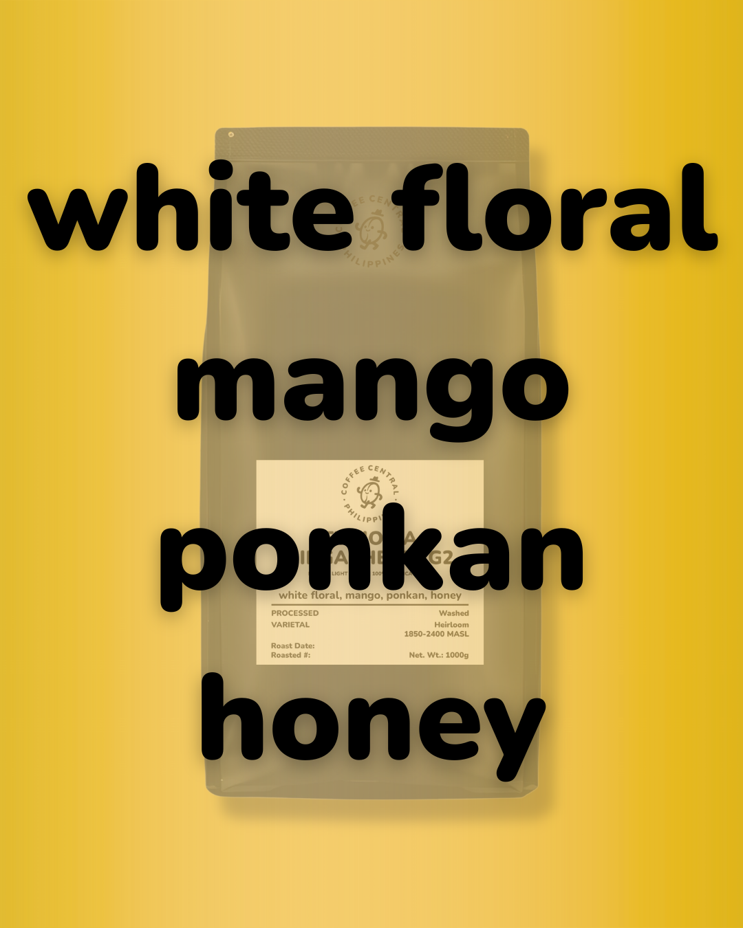 ETHIOPIA - YIRGACHEFFE G2