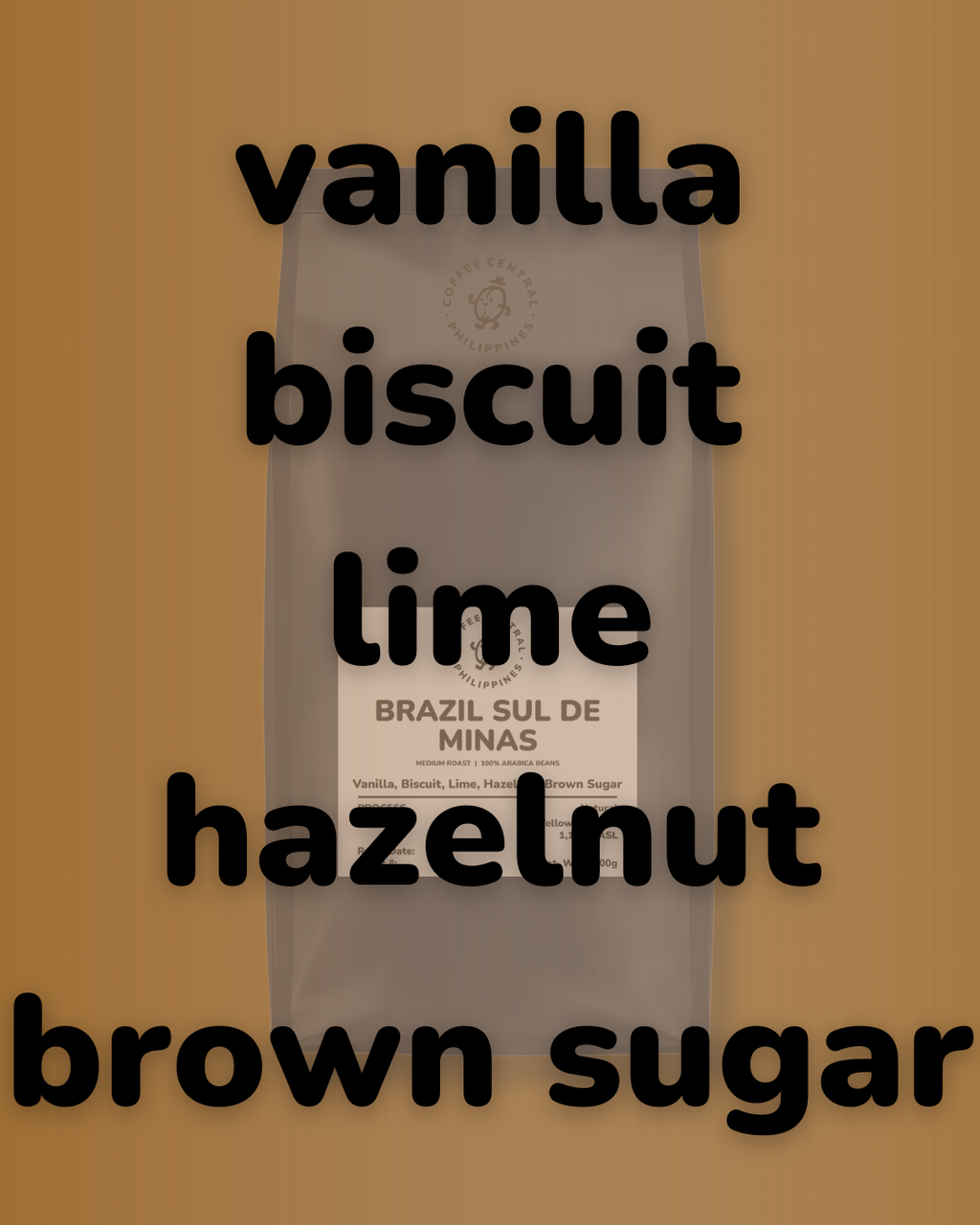 BRAZIL - SUL DE MINAS