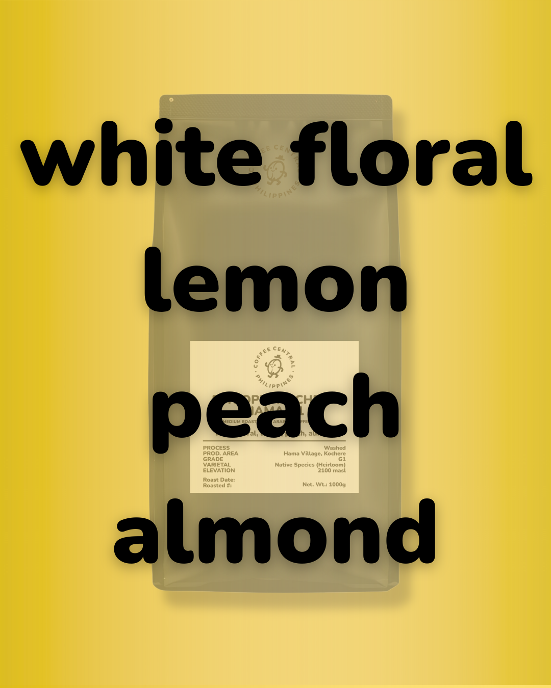 ETHIOPIA - KOCHERE HAMA G1